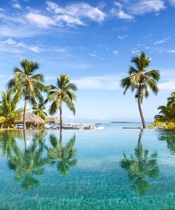 Fototapeta Bazén s palmami