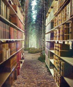 Fototapeta Lesní knihkupectví