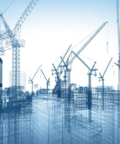 Fototapeta Les jeřábů