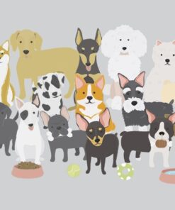 Fototapeta Skupina psů