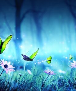 Fototapeta Motýli v lese