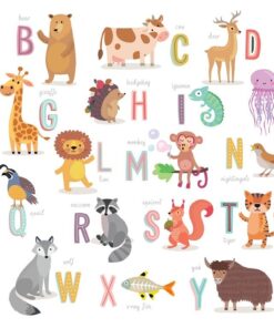 Fototapeta Anglická abeceda