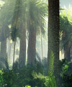 Fototapeta Jungle in the Mist