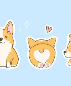 Fototapeta Corgi pes