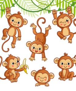 Fototapeta Malá opice