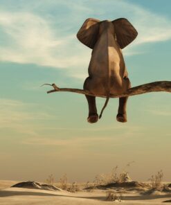 Fototapeta Strážce slonů