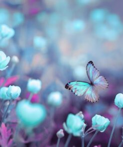 Fototapeta Magický obrázek