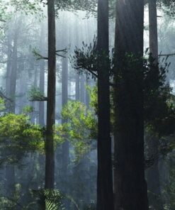 Fototapeta Misty morning