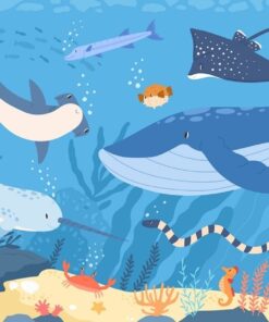 Fototapeta Veselý oceán