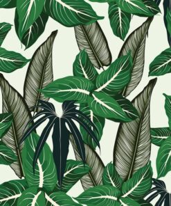 Fototapeta Rostliny z džungle