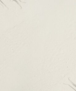 Fototapeta Palmové listy