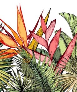 Samolepka na zeď Exotické květiny