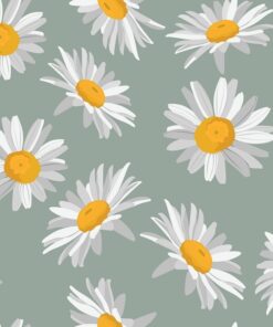 Fototapeta Pampeliška