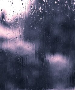 Fototapeta Rain Drops