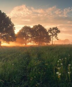 Fototapeta Spring Sunrise