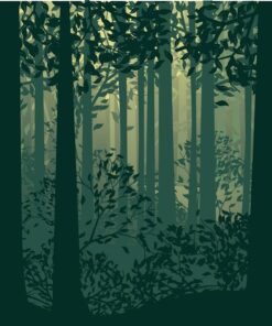 Fototapeta Tajemný les 2