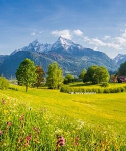 Fototapeta Pohled v Alpách