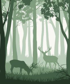 Fototapeta Zelený les