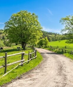 Fototapeta Venkovská krajina 2