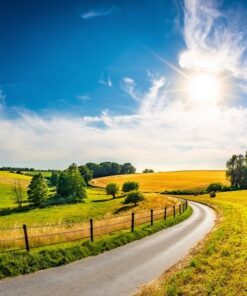 Fototapeta Letní pohled