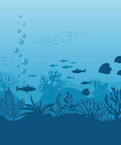 Fototapeta Podmořský svět 2