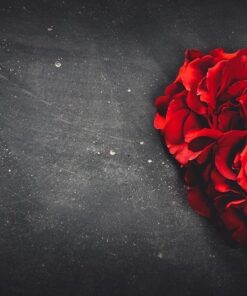 Fototapeta Červené růže