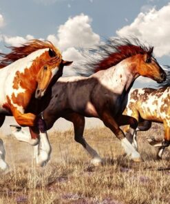 Fototapeta Běžící koně