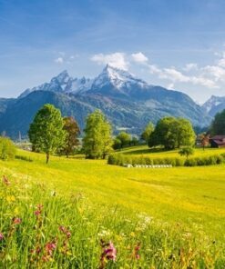 Fototapeta Horské scenérie