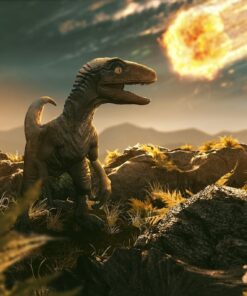 Fototapeta Dinosauři 4