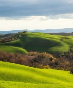 Fototapeta Pole v Toskánsku
