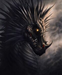 Fototapeta Černý drak