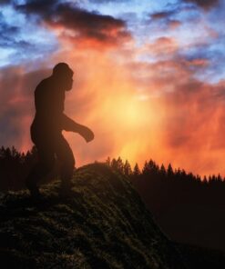 Fototapeta Monkey at West