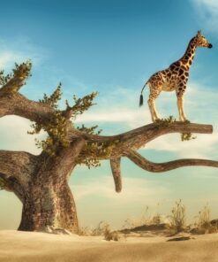 Fototapeta Žirafa na stromě