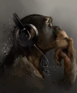 Fototapeta Hudební opice