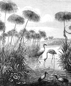 Fototapeta Černá a bílá