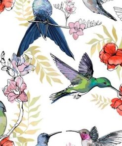 Fototapeta Život ptáků