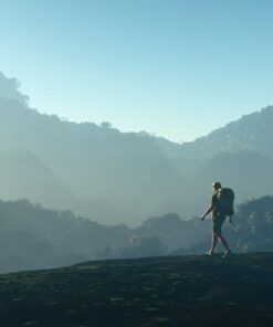 Fototapeta Traveller