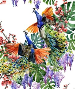 Fototapeta Colorful Peacocks