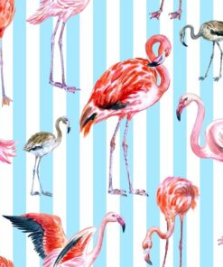 Fototapeta Plameňáci