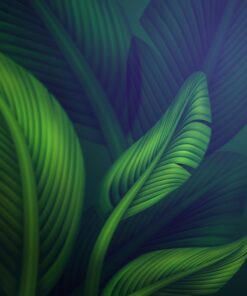 Nálepka na zeď zelené listy