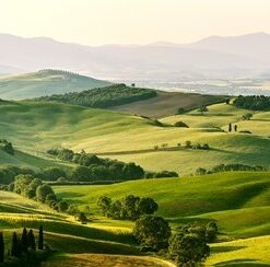 Fototapeta Green Spring