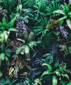 Fototapeta Tropická zahrada