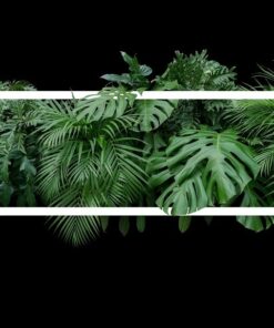 Fototapeta Listy v rámu