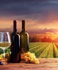 Fototapeta Lahve na víno