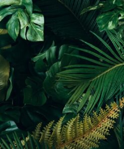 Fototapeta Listy v černé barvě 2