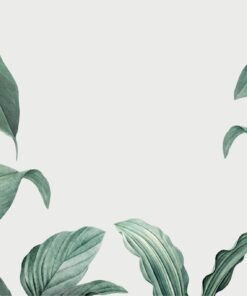 Fototapeta Listy na béžové