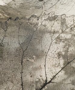 Fototapeta Hnědá dlaždice