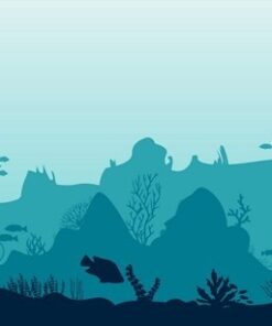 Fototapeta Korálový útes