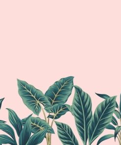 Fototapeta Listy na růžové