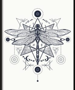 Geometrický plakát vážky